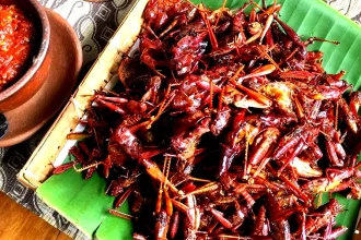 Kuliner Ekstrem Khas Indonesia yang Unik dan Legendaris