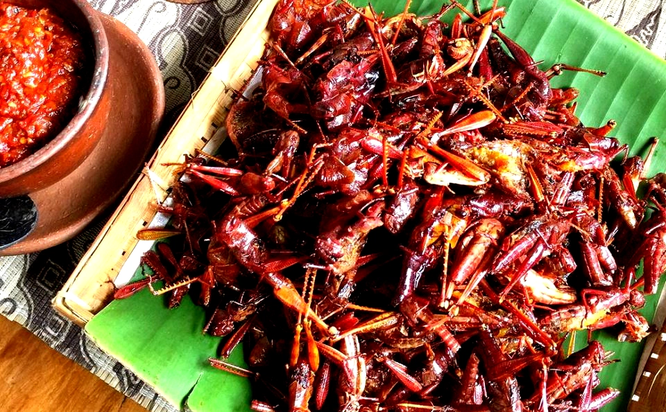 Kuliner Ekstrem Khas Indonesia yang Unik dan Legendaris